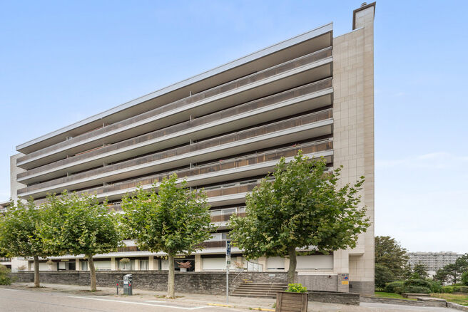 Cet appartement au rez-de-chauss&eacute;e d&rsquo;une chambre dispose d&rsquo;une spacieuse terrasse de 20 m&sup2; avec vue sur un jardin commun arbor&eacute;, ainsi que d&rsquo;une cave. Il est situ&eacute; dans un quartier r&eacute;sidentiel calme et verdoyant d&rsquo;Evere, avec toutes les commo