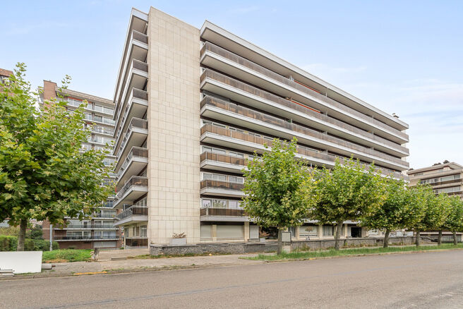 Dit gelijkvloers appartement met 1 slaapkamers en ruim terras (20m&sup2;) met uitzicht op een parkachtige gemeenschappelijke tuin en kelder is gelegen in een residenti&euml;le wijk.
Het appartement ligt in een rustige, groene woonwijk in Evere, met alle voorzieni