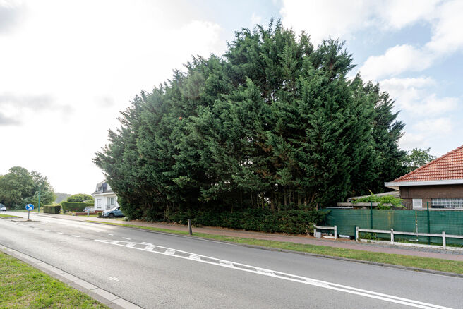 Mooi breed perceel van 5a 51ca voor bebouwen met een meergezinswoning bestaande uit maximum twee bouwlagen onder de kroonlijst, met hellend dak. Extra documenten op aanvraag.