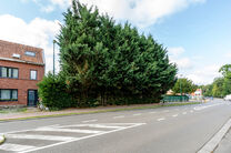 Mooi breed perceel van 5a 51ca voor bebouwen met een meergezinswoning bestaande uit maximum twee bouwlagen onder de kroonlijst, met hellend dak. Extra documenten op aanvraag.